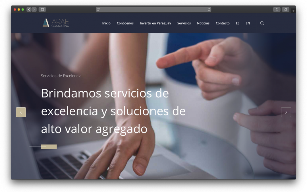 Sitio Web ARAE Consulting